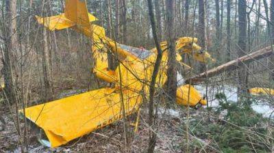 В Польше упал небольшой самолет в 500 метрах от взлетной полосы, есть пострадавшие