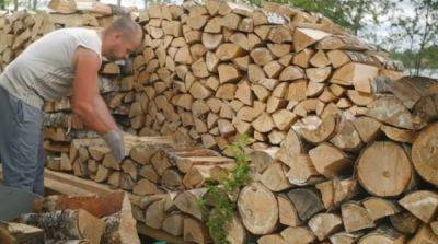 Что сделать, чтобы дрова горели гораздо дольше: действенная методика