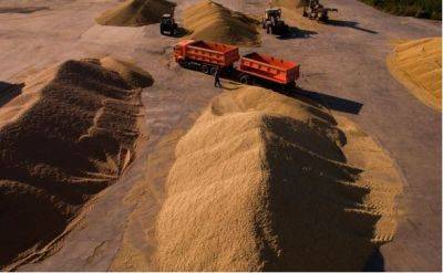 Российское зерно, экспортируемое через Латвию, в Литву не попадает