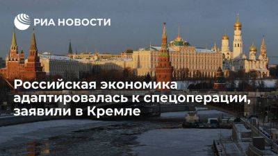 Песков: российская экономика обеспечивает условия для продолжения спецоперации