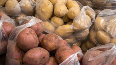 Украинцев предупредили о резком подорожании картошки: что будет дальше с ценами