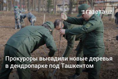 Прокуроры высадили новые деревья в дендропарке под Ташкентом