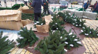 В центре Киева начали устанавливать новогоднюю елку