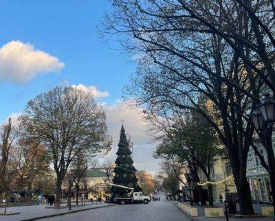В центре Одессы установили новогоднюю елку: как она выглядит