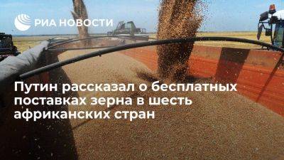Путин: Россия направит зерно в шесть стран Африки, нуждающихся в продовольствии