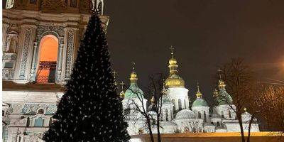 В Киеве смонтировали главную елку: Кличко показал фото