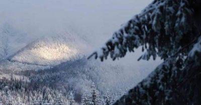 Снеголавинная опасность: украинцев предупредили о сходе лавин в Карпатах (карта)
