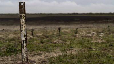 Водный кризис: можно ли спасти болота нацпарка Доньяна?