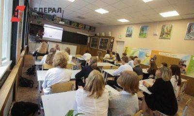 Молодая учительница из Челябинска пожаловалась, что ее унижает мизерная зарплата