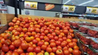 Израилю угрожает дефицит помидоров: цены уже растут