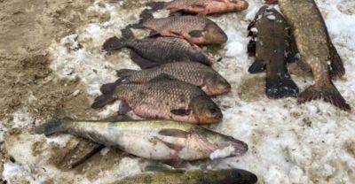 Госэкоинспекцией обнаружен незаконный лов рыбы в Черкасской области: запрещенные орудия лова изъяты