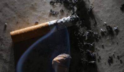 Хватит получаса стараний: как быстро выветрить запах сигарет из квартиры