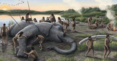 125 000 лет назад неандертальцы поймали одно из самых больших существ мира: что нашли ученые