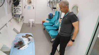 Раненую в Газе собаку Майки лечат в больнице "Шамир" как бойца ЦАХАЛа
