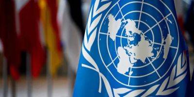 Денежная помощь от ООН: заявки принимают в новой области — когда и где можно зарегистрироваться