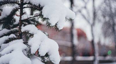 В ряде областей Украины в ближайшие дни ожидаются снегопады