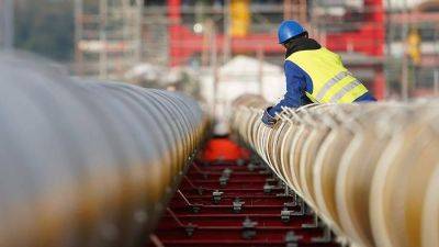 Эксперт рассказал о влиянии сокращения поставок газа из РФ на энергокризис в ЕС