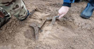 Такого уже давно не было: на севере Польши мужчина нашел древние тысячелетние артефакты (фото)