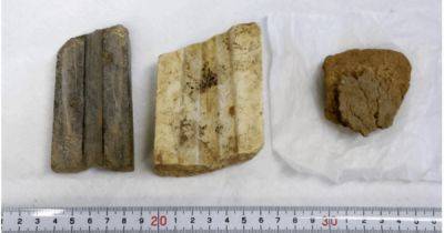В Японии обнаружили каменные формы для литья бронзы: они могут быть самыми старыми в мире (фото)