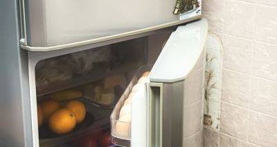 Как хранить продукты без холодильника: три совета от опытной хозяйки - cxid.info