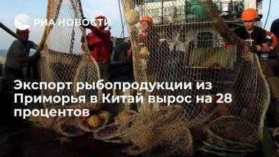 Экспорт рыбопродукции из Приморья в КНР вырос на 28% и составил 620 тысяч тонн