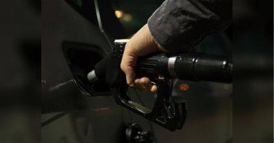 Несмотря на блокаду границы: эксперты прогнозируют значительное снижение цен на бензин и автогаз в Украине