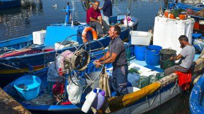 Итальянские рыбаки избавляются от полистироловых контейнеров