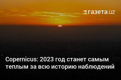 Copernicus: 2023 год станет самым тёплым за всю историю наблюдений