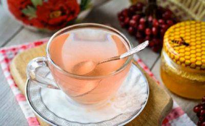 Самый зимний чай: как правильно заваривать чай из калины и от чего он лечит