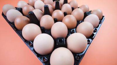А ведь вы об этом не знали: сколько хранятся мытые яйца и нужно ли их мыть