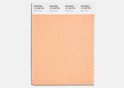 Peach Fuzz (персиковый) — цвет 2024 года Pantone