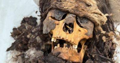 6 взрослых, 16 детей и новорожденных: в Перу обнаружили уникальные мумии доколумбовых времен (фото)