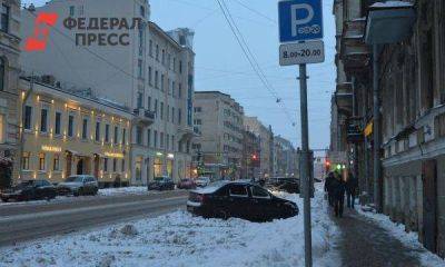 Можно ли в Петербурге оплатить парковку авто без номера