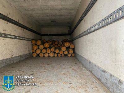 Напилили 210 деревьев на 1,6 млн грн: банду лесорубов поймали на Харьковщине