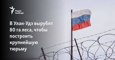 Алексей Цыденов - В Улан-Удэ вырубят 80 га леса, чтобы построить крупнейшую тюрьму - svoboda.org - Россия - Улан-Удэ - респ.Бурятия