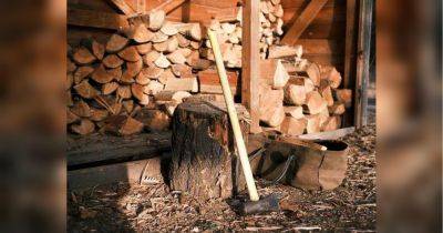 Иногда приходится ждать до месяца: сколько стоят дрова в разных регионах Украины