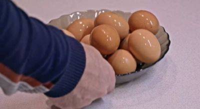 Как правильно заморозить куриные яйца на зиму: актуальные лайфхаки от хозяек