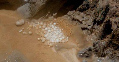 Сокровища Земли. В самой крупной пещере планеты скрывается жемчуг размером с теннисный мяч