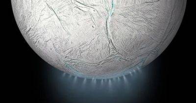 На спутнике Сатурна Энцеладе может быть жизнь: появился новый способ ее обнаружить