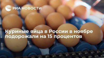 Росстат заявил о подорожании куриных яиц в ноябре на 15%