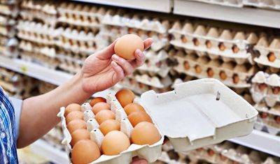 Как правильно выбрать куриные яйца и на что следует обратить внимание: рекомендации для молодых хозяек