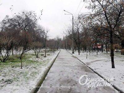 Погода в Одессе: прогноз на 1 февраля 2023 | Новости Одессы