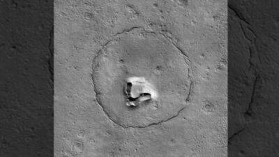 На Марсе обнаружен улыбающийся медвежонок