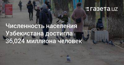 Численность населения Узбекистана достигла 36,024 миллиона человек - gazeta.uz - Россия - Армения - Казахстан - Узбекистан - Молдавия - Киргизия - Азербайджан - Навоийской обл. - Ташкент