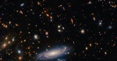 Джеймс Уэбб - Невероятное зрелище. Тысячи галактик вокруг одной видно на изображении телескопа Уэбб (фото) - focus.ua - Украина