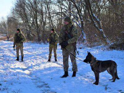 Уклонист заблудился на Закарпатье в горах, пытаясь незаконно попасть в Словакию, и сам вызвал полицию