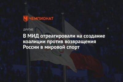 В МИД отреагировали на создание коалиции против возвращения России в мировой спорт