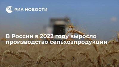Росстат: производство сельхозпродукции в 2022 году выросло на 10,2 процента