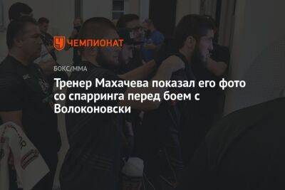 Тренер Махачева показал его фото со спарринга перед боем с Волкановски