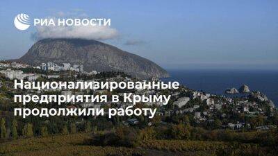 Константинов: на национализированных в Крыму предприятиях ввели временные администрации